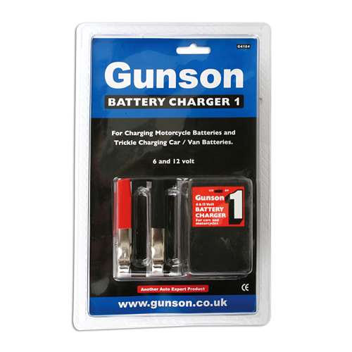 Gunson 12v shop battery charger