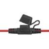 Clip Strip Deal - Automotive Mini Blade Fuses & Holders