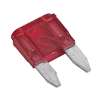 Clip Strip Deal - Automotive Mini Blade Fuses & Holders