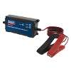 Battery Maintainer Charger 12V 6A Fully Automatic